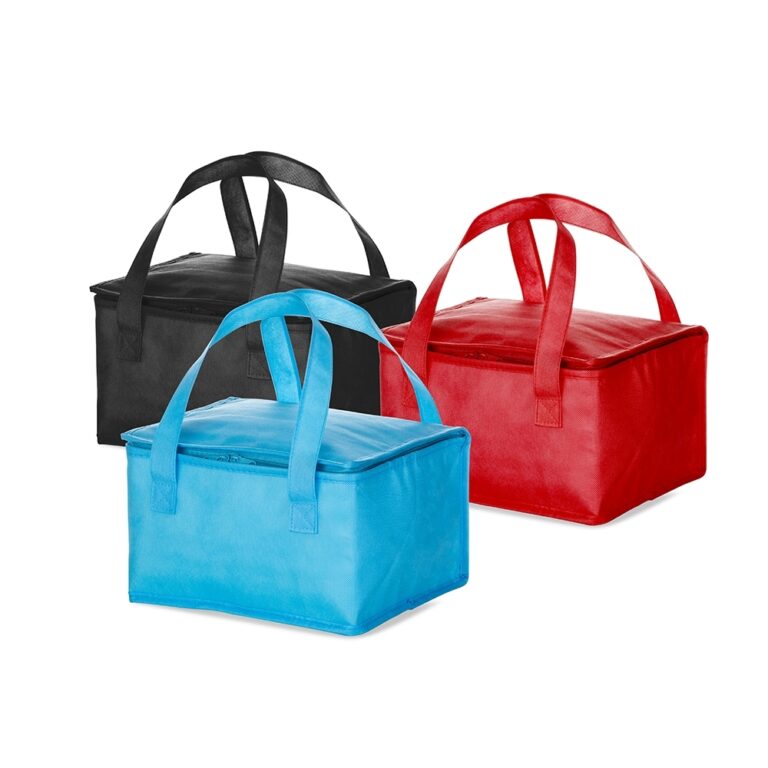 Bolsa-Termica-10-Litros-9173d1-1556553478